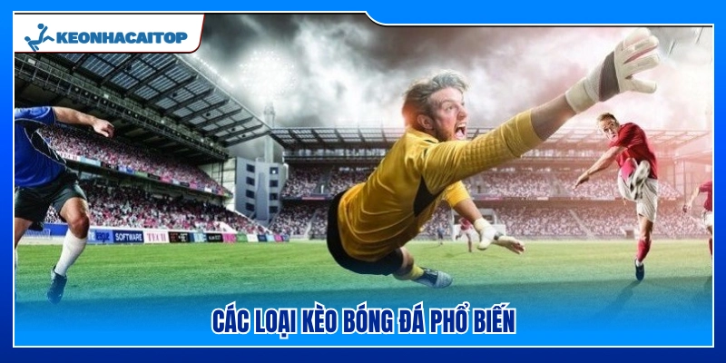 Một vài loại kèo bóng đá thông dụng 